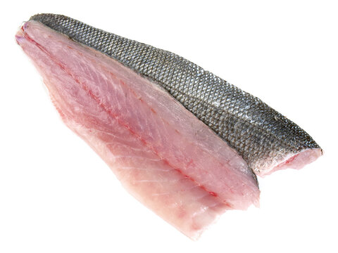 Wolf Fish Fillets Wolf-Fish Imagens – Procure 1,305 fotos, vetores e vídeos | Adobe Stock