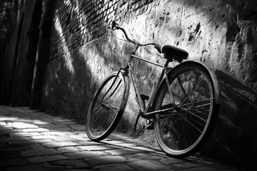 A striking black and white image of a vintage bicycle resting against a textured wall, bathed in dappled sunlight, evoking a sense of history and urban tranquility.