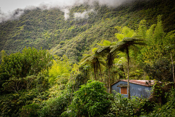 Cabane sur l'Ile de la Réunion