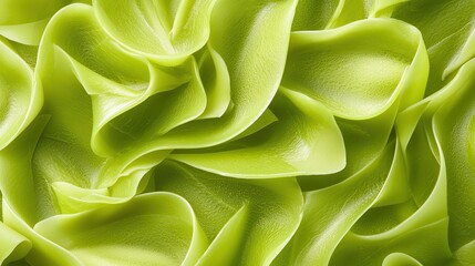Obraz premium Sea moss gel Close-up of vibrant green, wavy plant leaves with a soft texture.