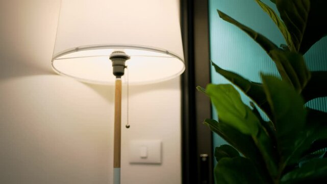Hand of woman reaching out to turn on a lamp in the living room at a cozy home, A calm and inviting atmosphere, Hand pulling chain of lamp