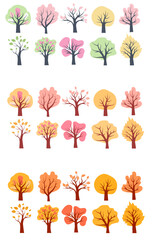 Autumn and spring tree illustrations showcasing seasonal changes in foliage and colors