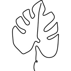 Monstera Leaves Line Art