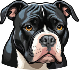 Purebred Black American Bully Dog – Intelligent, Friendly, and Protective Pet