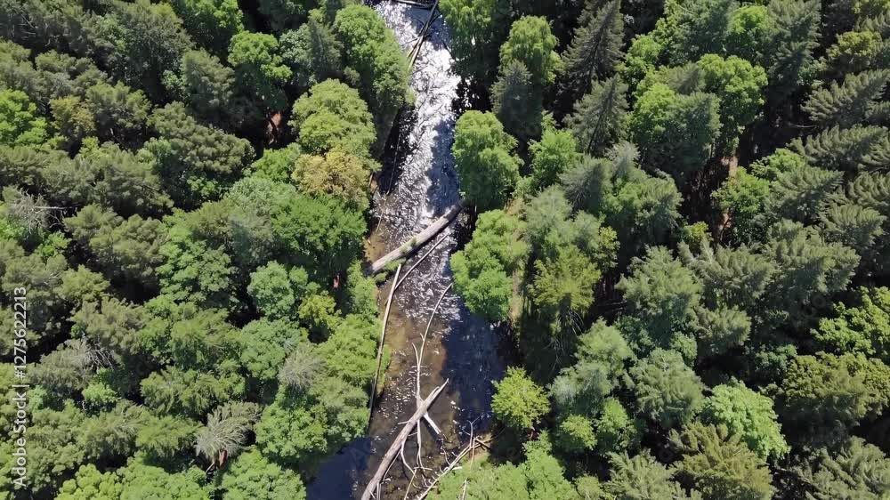 Aufkleber Dense forest with flowing river and fallen logs captured from above showing vibrant greenery in a serene landscape