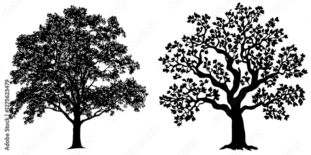 Poster comparison of two distinct tree silhouettes highlighting various leaf patterns and branch structures