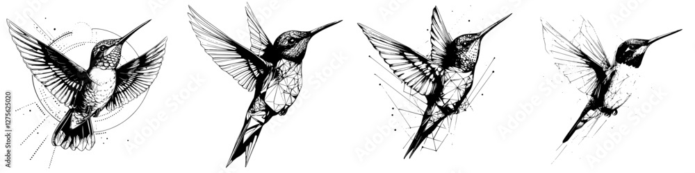 Poster intricate sketches of a hummingbird in various artistic styles showcasing its delicate features