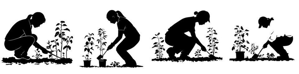 Group of individuals engaged in planting seedlings in a garden during a sunny afternoon in spring