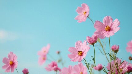Fototapeta premium Solar Power Farm Covered with Blooming Wildflowers Under a Clear Blue Sky