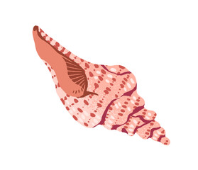 Cute sea shell with spiral shape. Exotic seashell, ornamented mollusk. Ocean conch with coiled form. Big drawing whelks. Beach decoration, decor. Flat isolated vector illustration on white background