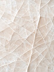 Fototapeta premium raw unpolished marble surface, organic veining, natural mineral textures, cool neutral tones, high-resolution macro shot, luxurious yet raw aesthetic, timeless elegance, copyspace, no trademark, no