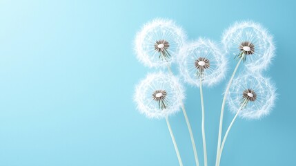 fluffy dandelion seeds, soft organic textures, delicate white filaments, high-resolution macro photography, ethereal and dreamy aesthetic, floating in natural light, copyspace, no trademark, no