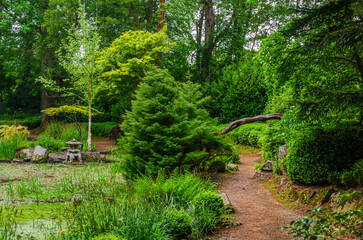 Pathway through Japanese garden with overhanging tree and a pagoda in the background