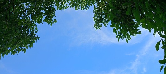 Fototapeta premium Blue sky and white clouds 