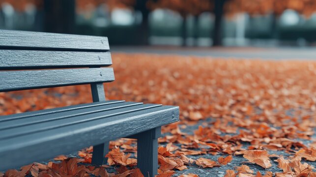 Rustic Wooden Bench Surrounded by Colorful Autumn Leaves in Serene Outdoor Setting
