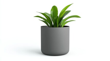 Modern Plant in Gray Pot: A sleek, modern potted plant sits gracefully in a minimalist gray planter, its vibrant green leaves contrasting the neutral backdrop, offering a touch of nature indoors.