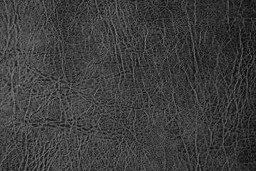 Black and white leather background or texture , Leather surface. Close up. Copy space.