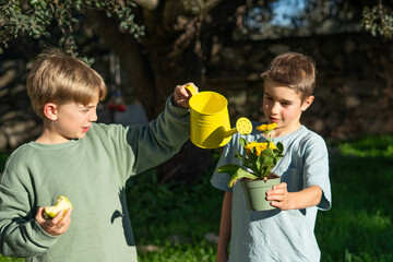 Children taking care of plants and flowers in the garden using watering can