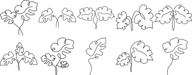 Monstera Leaves Line Art