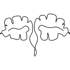 Monstera Leaves Line Art