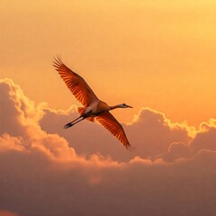 Brilliant burnt-orange crane soaring through a fiery sunset, deep golden mist with soft airy clouds, slightly close-up