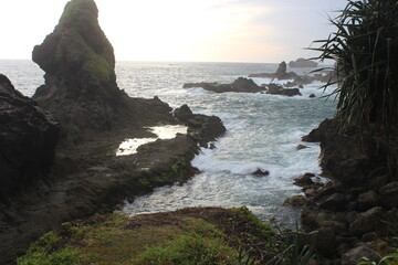 rocky coast in the morning
