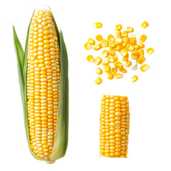 Obraz premium Sweetcorn: Whole, Kernels & Cut isolated on transparent background