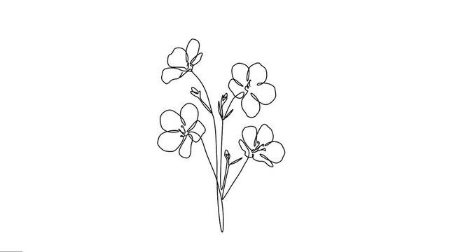 Blue flax flowers Animation elegance continuous single line drawing. 
