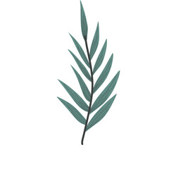 Handdrawn Leaf Illustration