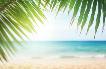 palm tree on the beach,Relaxed, languid, beautiful, warm, summer.