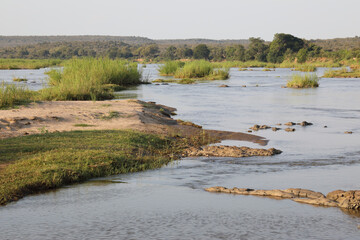 Krüger Park - Afrikanischer Busch - Olifants River/ Kruger Park - African bush - Olifants River/