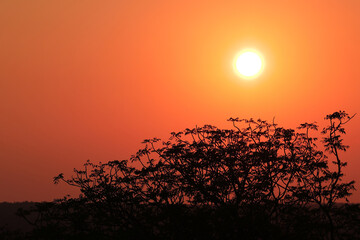 Sonnenuntergang - Krüger Park - Südafrika / Sundown - Kruger Park - South Africa /