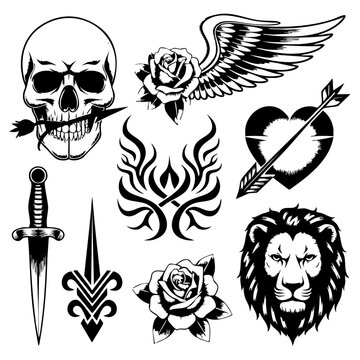 Tattoo Flash Vector Set &ndash; Skull, Lion, Dagger, Tribal Flame & Roses Collection