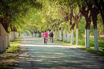 Senior couple riding bicycles down the tree-lined street on a sunny day
