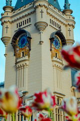 A close-up of the iconic clock tower of the Palace of Culture in Iași, Romania, framed by blooming tulips in the foreground