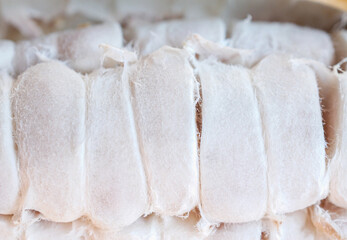 Macro of white fresh cocoa seed on ripe cacao pod and  yellow cacao fruit