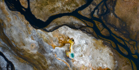 Fluid Beauty: Unveiling the Mysterious Allure of Liquid Art in Oil