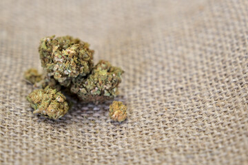 A close-up of CBD cannabis buds resting on a burlap surface. The dried green and orange flowers display their trichomes and texture in detail, emphasizing their natural quality.