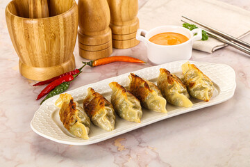 Japanese fried Gyoza stuffed dumplings
