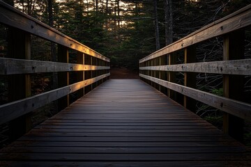 Obraz premium Karelia's nature is showcased on an eco trail featuring wooden flooring amidst a coniferous forest