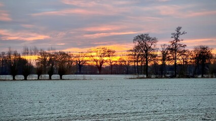 sunset in the forest, germany, nrw, Lengerich