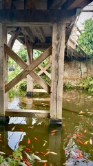old wooden bridge in water