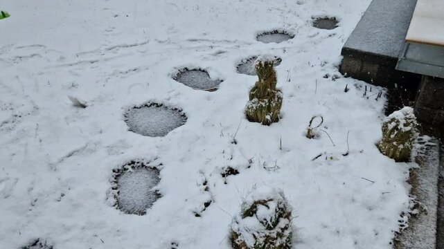 Stepping stones&nbsp;or&nbsp;stepstones&nbsp;are sets of stones arranged to form an improvised&nbsp;causeway&nbsp;that allows a&nbsp;pedestrian&nbsp;to cross a natural watercourse such as a&nbsp;creek