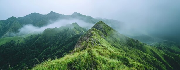 Misty Mountain Ridge, Lush Green Landscape