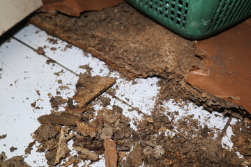 Termites destroy and eating the wood and furniture of the house. Traces of destruction due to termites
