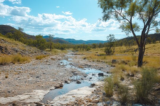 A drought-stricken riverbed, with the once-flowing water reduced to a trickle and the surrounding landscape parched .