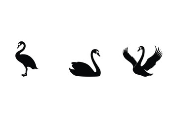 Swan Silhouette Collection   White Swan Vector Clipart in Diverse Poses on Black Backdrop