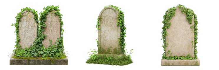 Weathered gravestones covered in green ivy plants Isolated on transparent background
