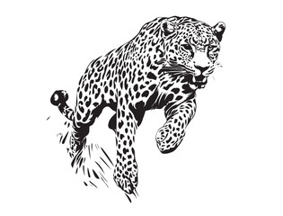 Obraz premium vector illustration of a leopard