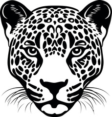 vector illustration of a leopard